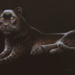 Fuz Caforio - Black Leopard