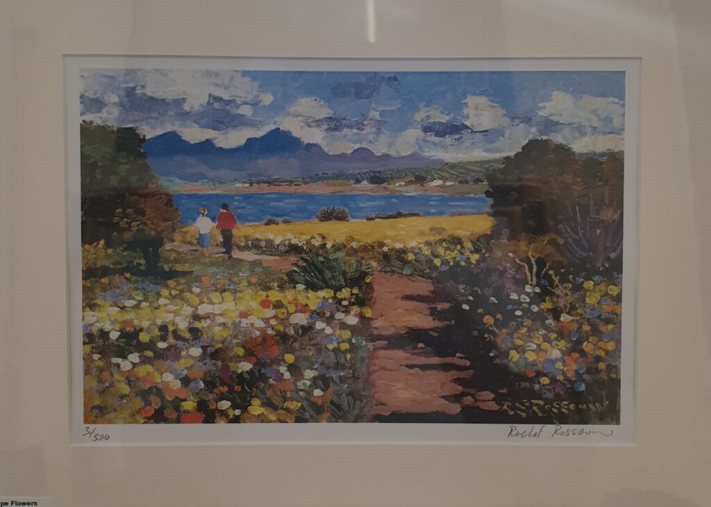 Roelof Rossouw - Cape flowers