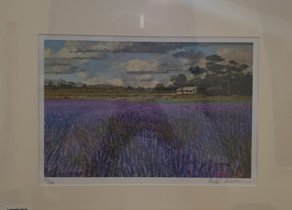 Roelof Rossouw - Lavender field