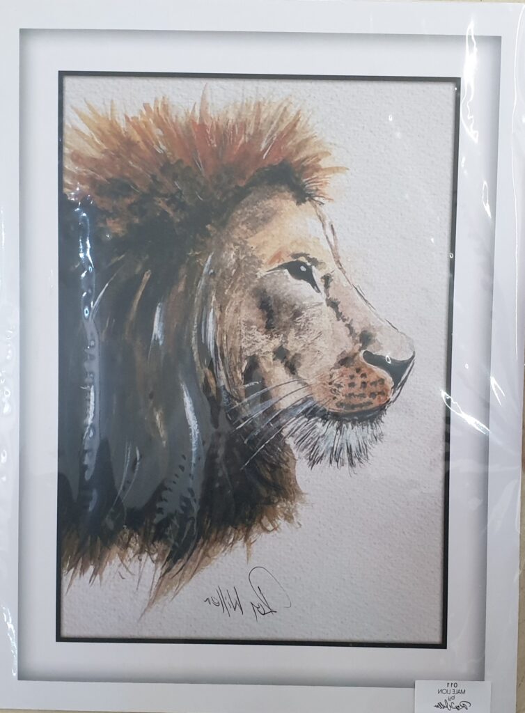 Male Lion by Roy Willer,