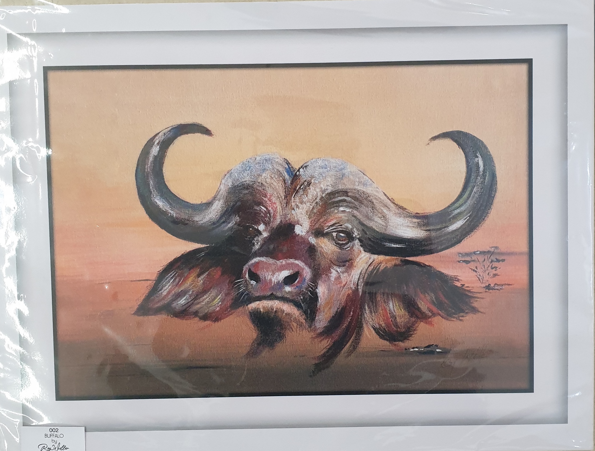 Buffalo By Roy Willer