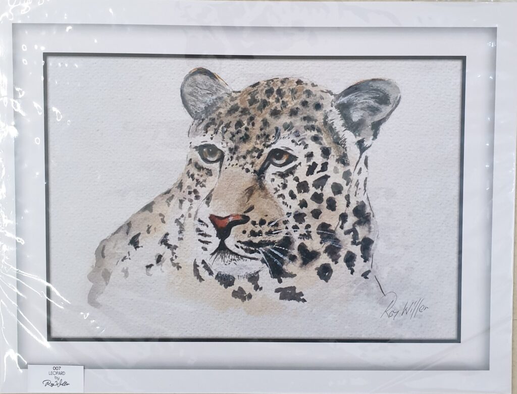 Leopard by Roy Willer