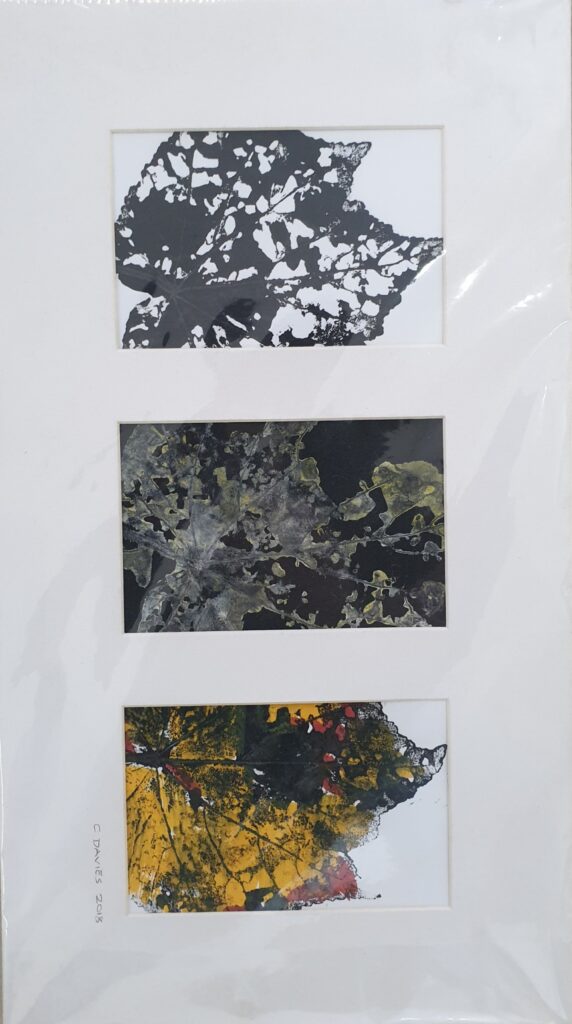 C. Davies, Leaves Mono print