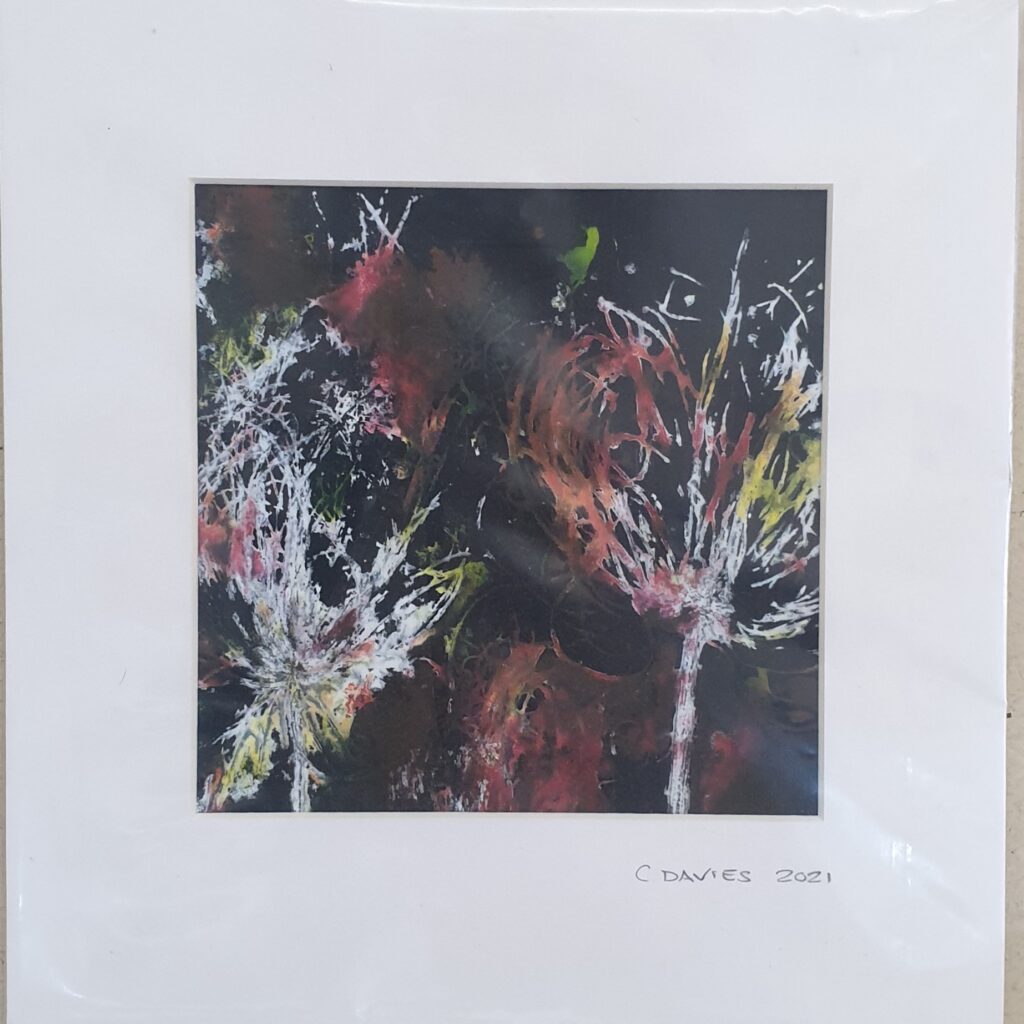 C. Davies, Abstract flora, Monoprint